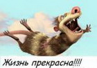 Аватара пользователя