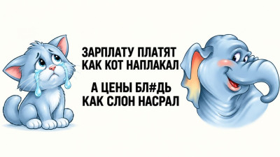 IMG_4351.JPG