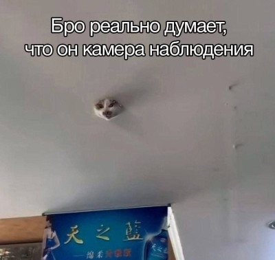 IMG_4647.JPG