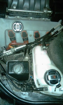 IMAG0030.jpg