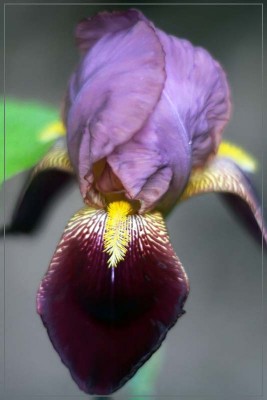IMG_4385ь.jpg