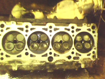 IMG0147A.jpg