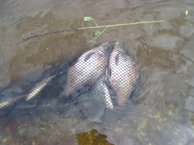 22052010096.jpg
