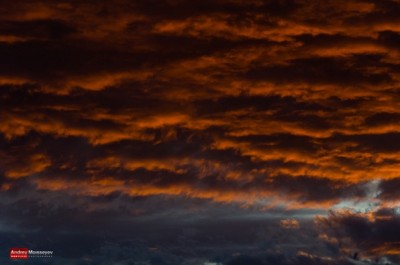 x_46b8269c.jpg