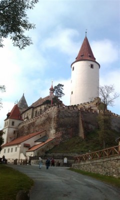 IMAGE_378.jpg