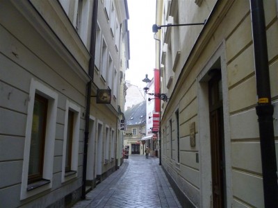 P1050229 (2).JPG