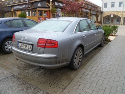 P1050312 (2).JPG