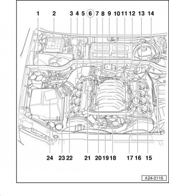 A24-0116.JPG