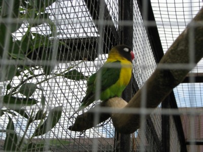 IMG_2935.JPG
