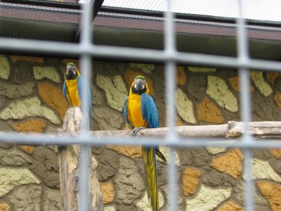 IMG_2987.JPG