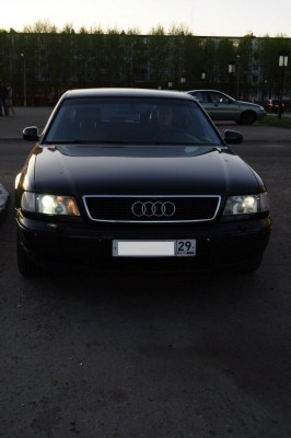 Авося-1.jpg