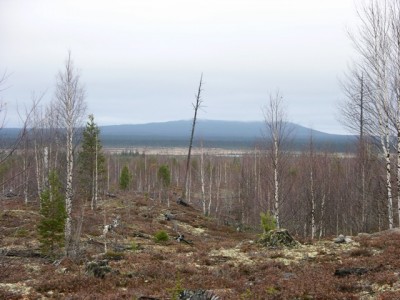 DSCN3045.jpg
