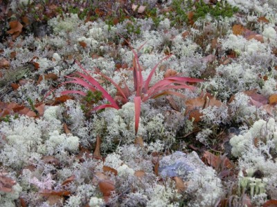 DSCN3056.jpg