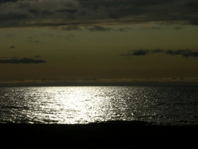 DSCN3063.jpg