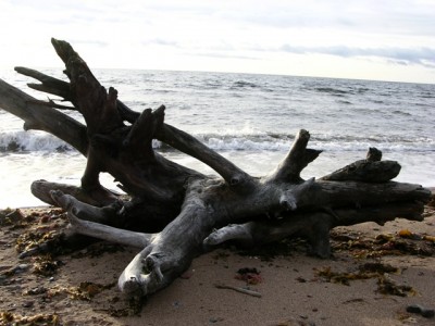 DSCN3080.jpg