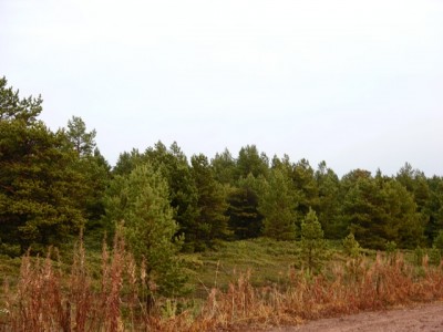 DSCN3095.jpg