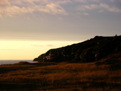 DSCN3099.jpg