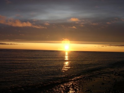 DSCN3100.jpg