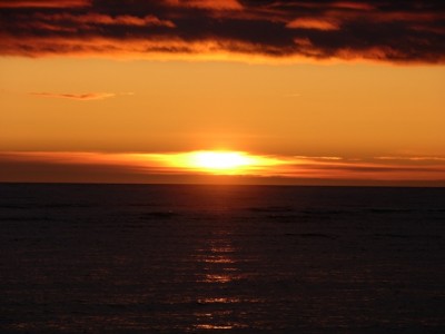 DSCN3104.jpg