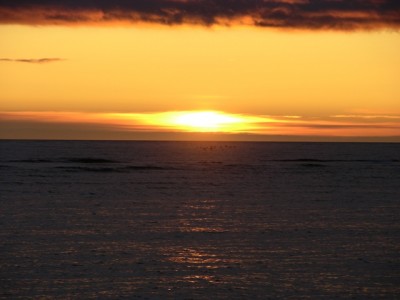 DSCN3107.jpg