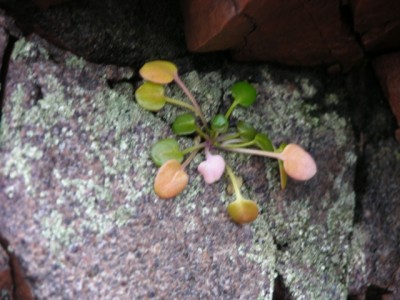 DSCN3120.jpg