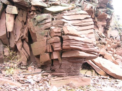 DSCN3121.jpg