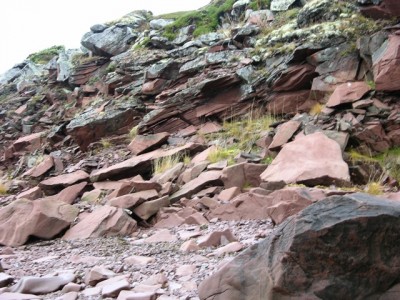 DSCN3118.jpg