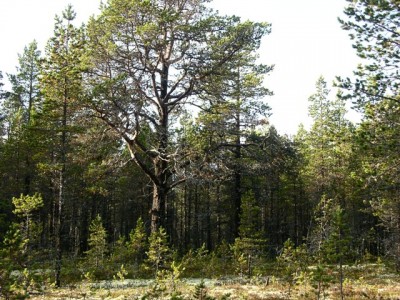 DSCN3129.jpg