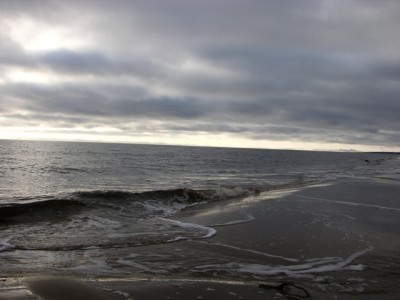 DSCN3133.jpg