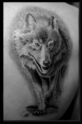 2Km7NqzaeOU.jpg