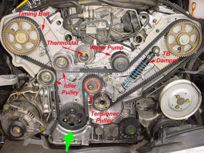 Копия tbp71.JPG