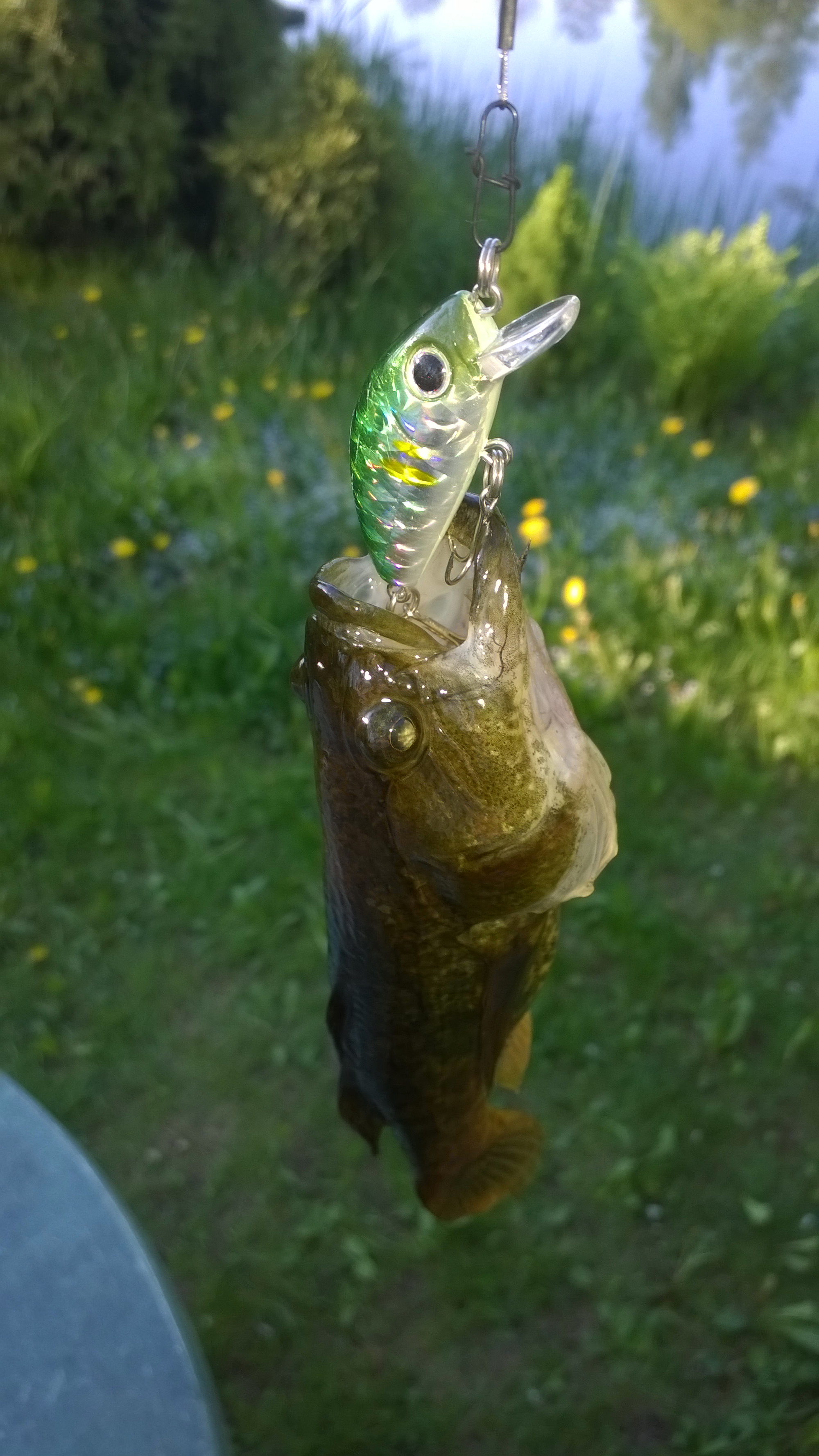 WP_20140523_002.jpg