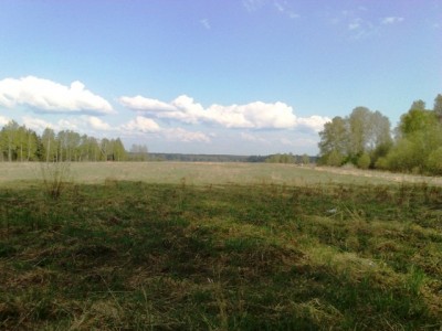 10052009138.jpg