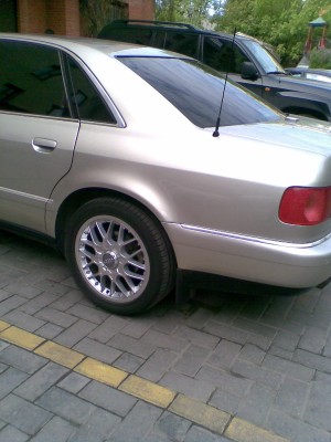 моя авосичка
