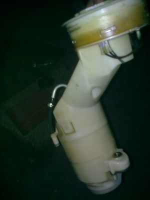 30052009100_изменить размер.jpg