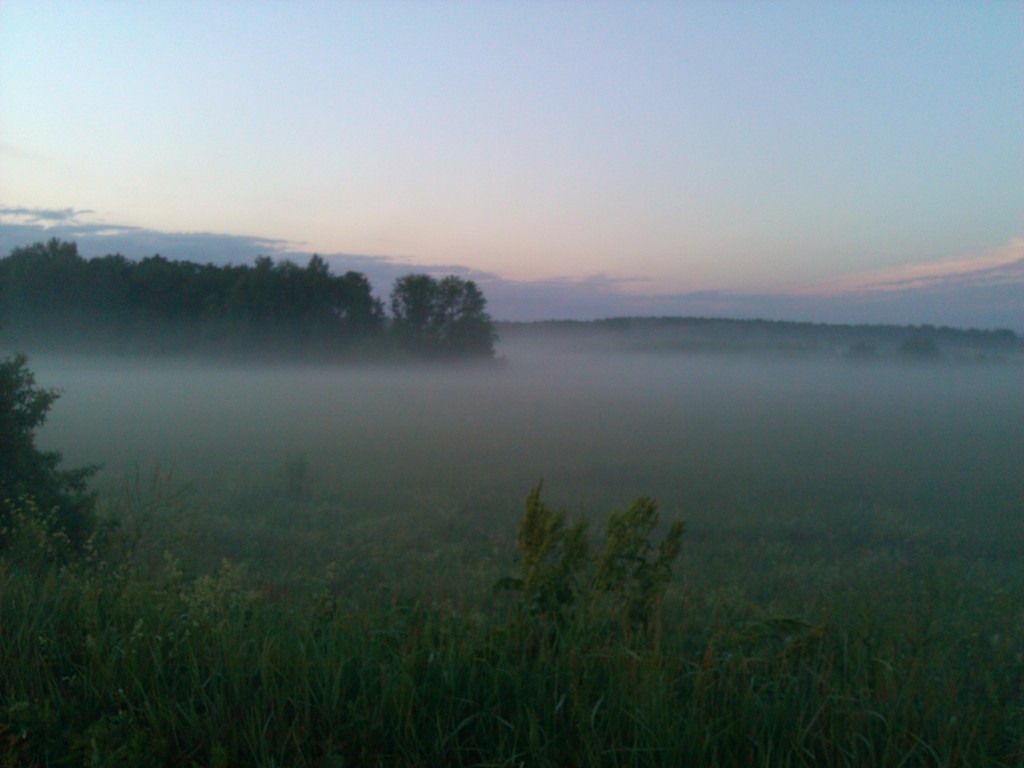 IMG_20150617_210930.jpg