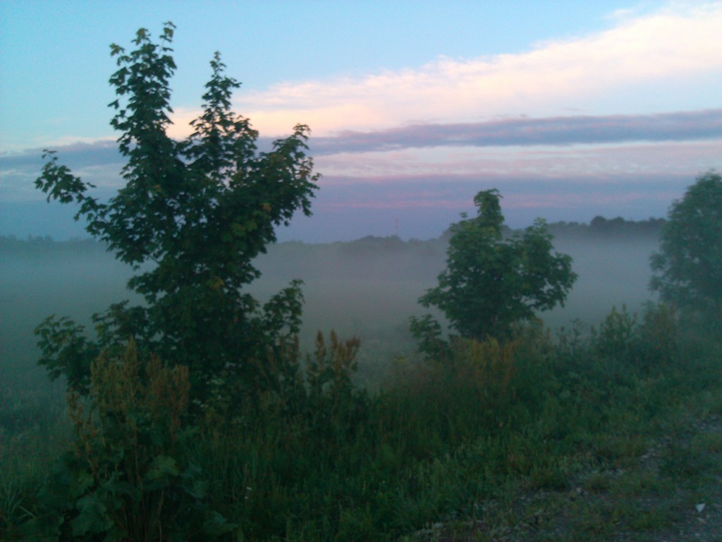 IMG_20150617_210935.jpg