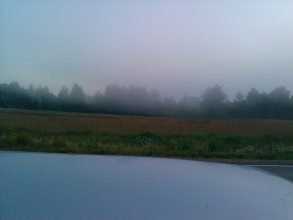 IMG_20150617_211755.jpg