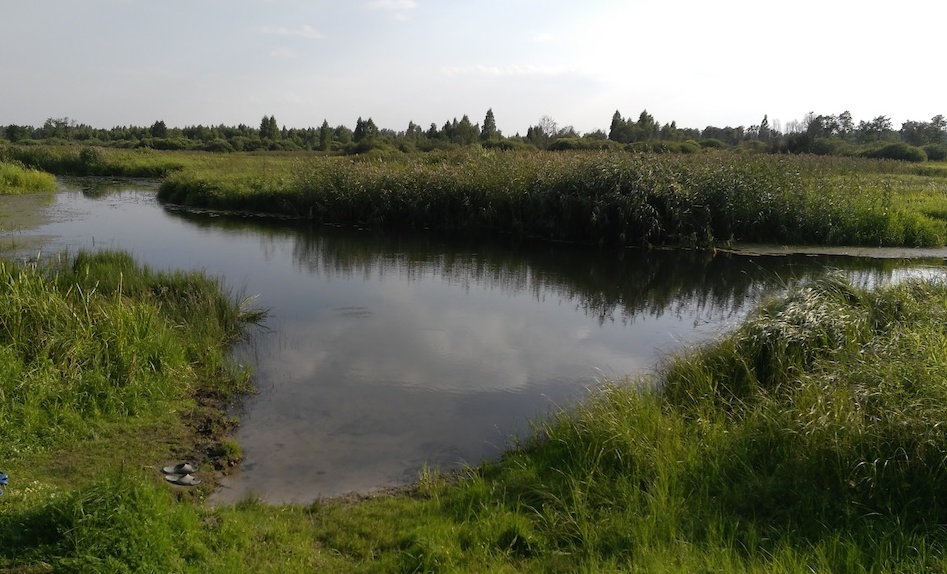 IMG_20150804_174206.jpg