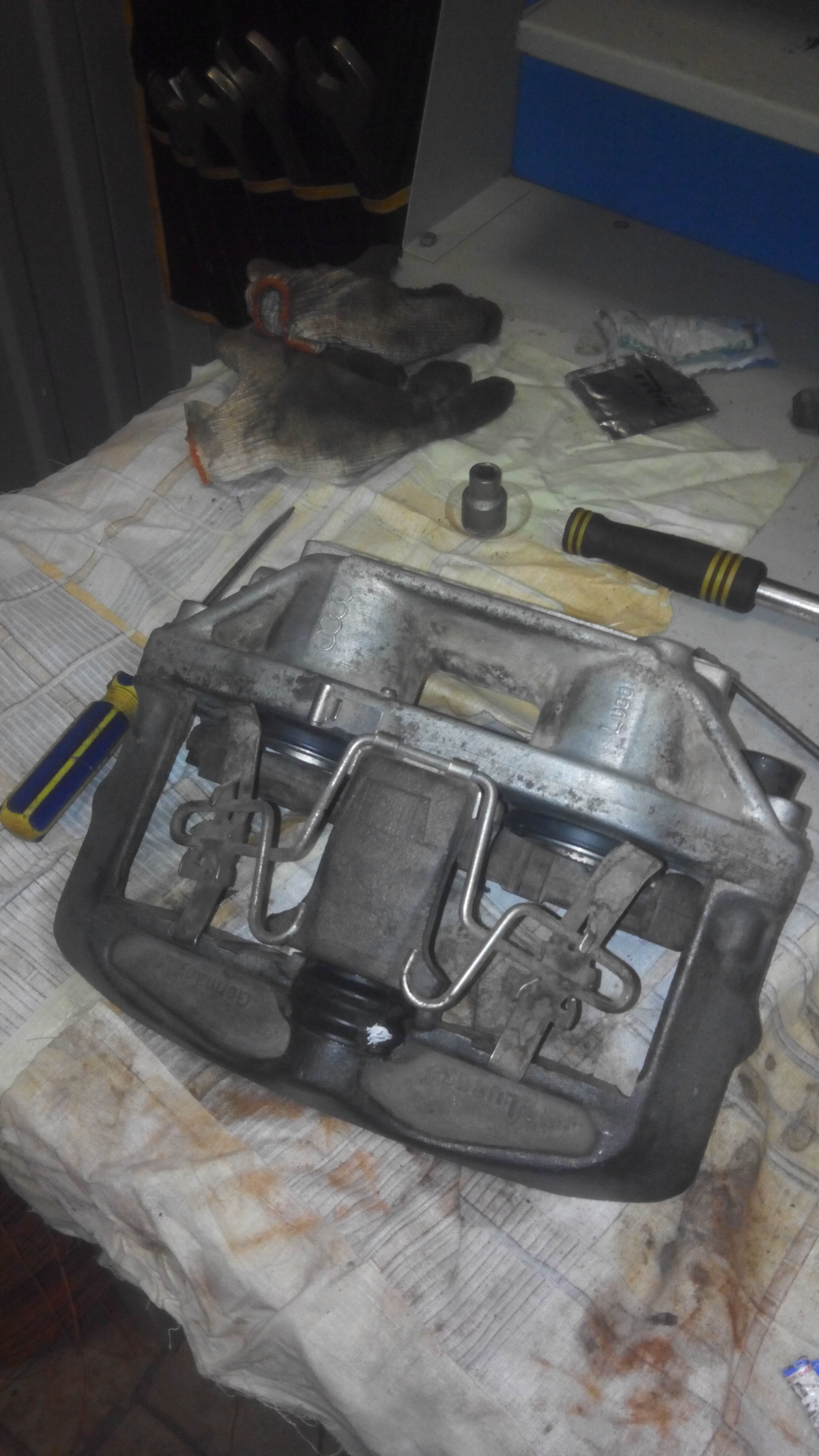 IMG-20160416-WA0051.jpeg