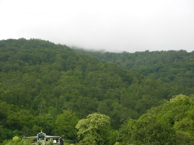 DSCN3151.JPG
