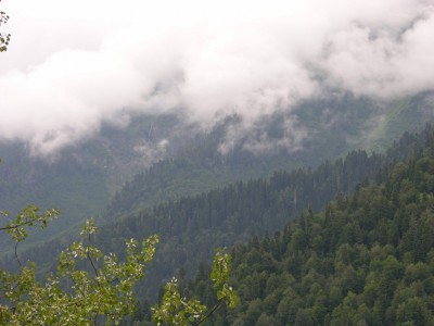 DSCN3433.JPG