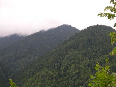 DSCN3436.JPG