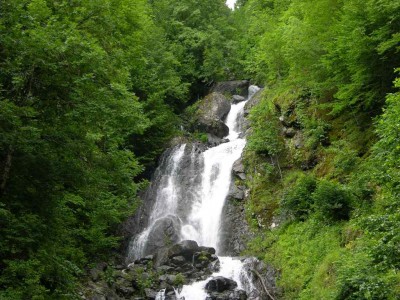 DSCN3442.JPG