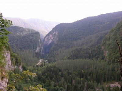 DSCN3472.JPG