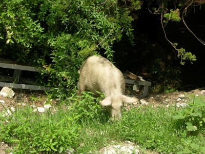 DSCN3267.JPG