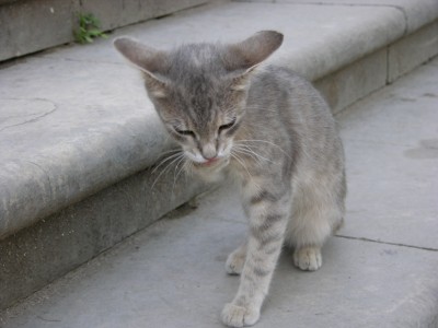 DSCN3294.JPG