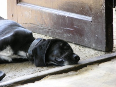 DSCN3339.JPG