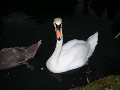 DSCN3558.JPG