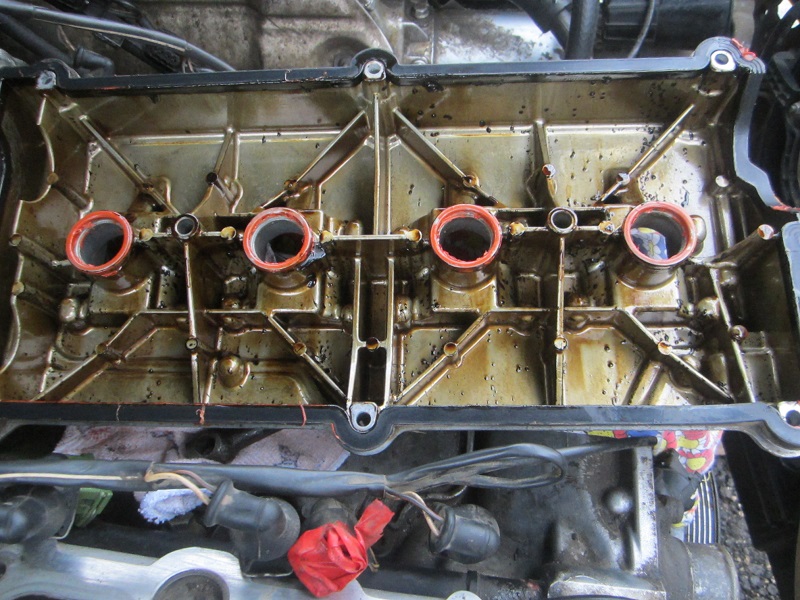 IMG_0428.JPG